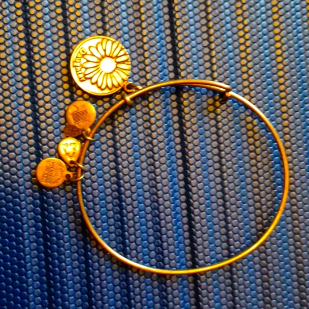 Alex and Ani Daughter Dasiy bracelet 2014 bronze tone